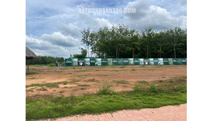 bán đất đồng tiến đồng phú bình phước giá cả có thể thương lượng